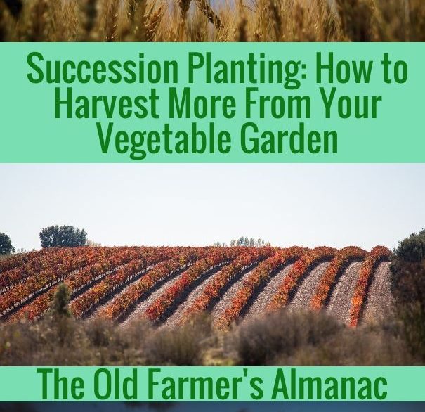 Farmers Almanac Planting Guide By Zone Yoiki Guide 