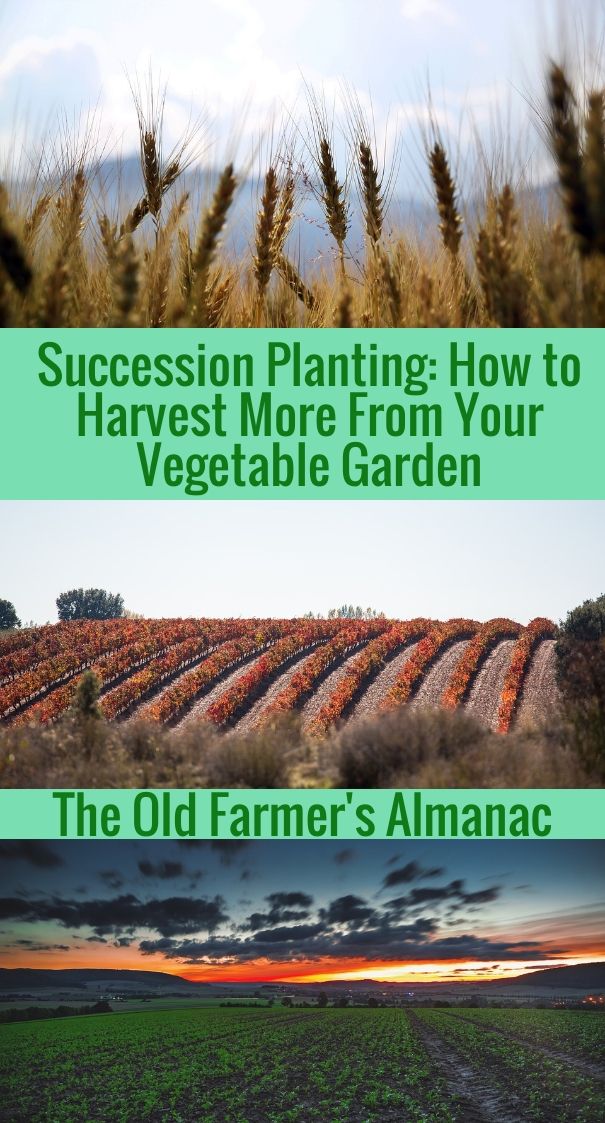 Farmers Almanac Planting Guide By Zone Yoiki Guide