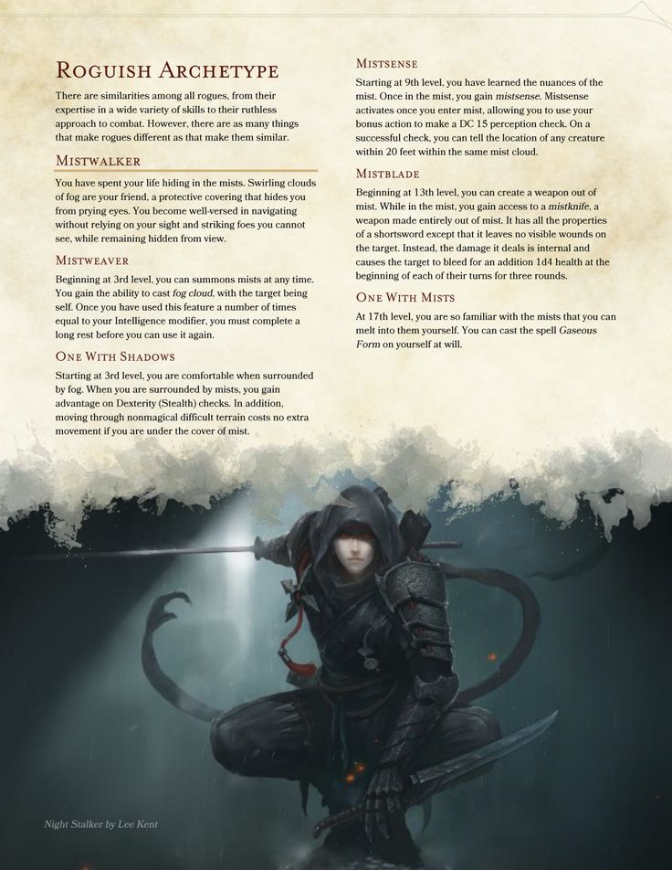 Rogue Assassin Guide 5e – Yoiki Guide